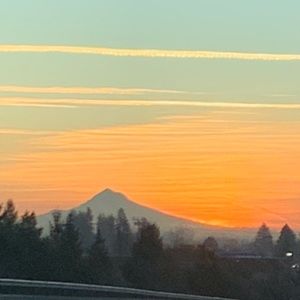 Meet your Posher, Monica